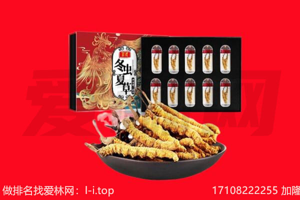 阜阳界首市回收虫草.jpg